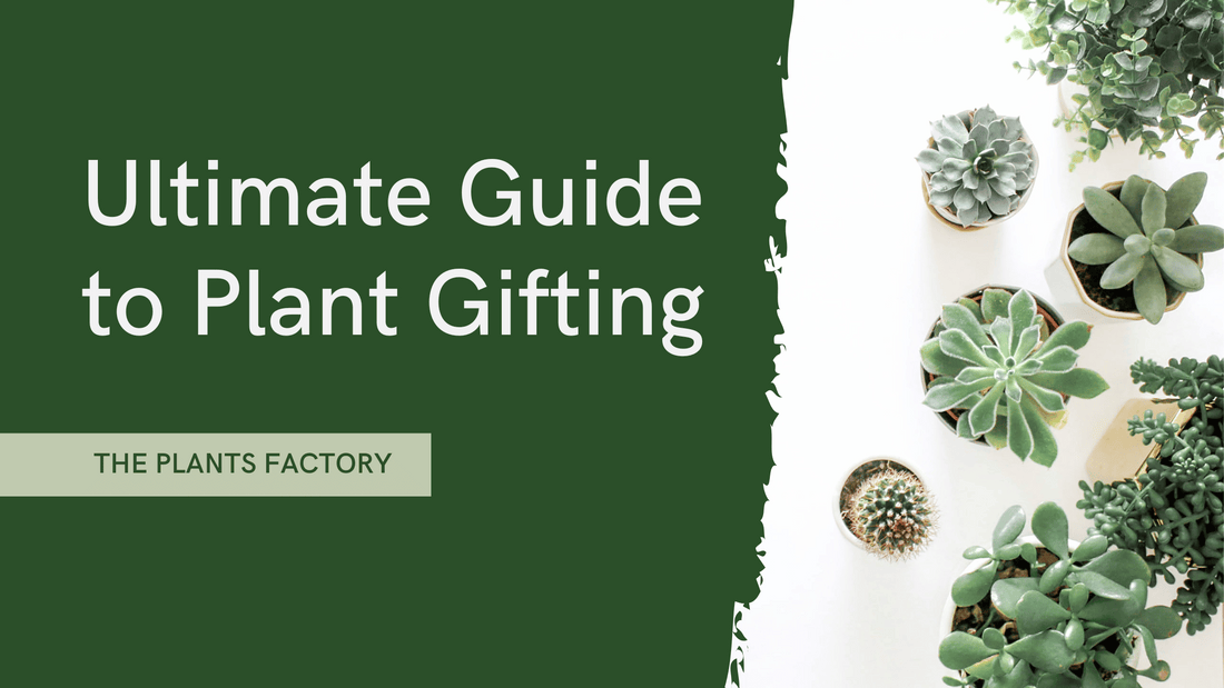 The Ultimate Guide to Gifting Plants: Why Green is the New Gold